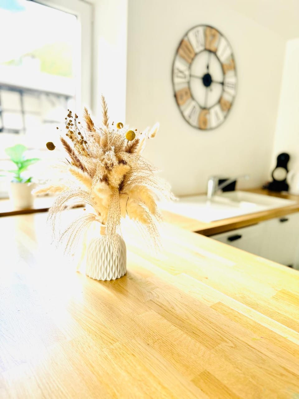 Cocoon House in Wallonia, Belgium