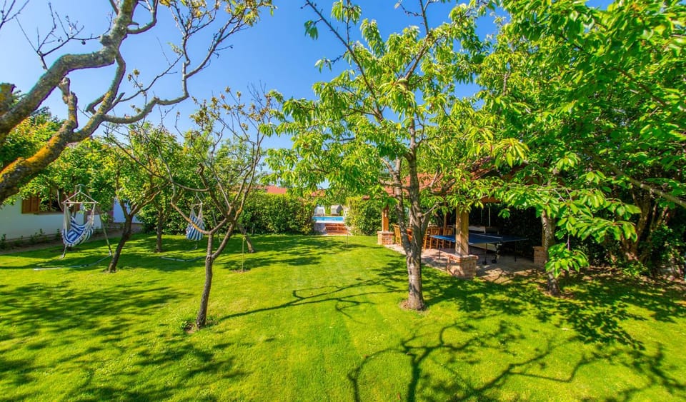 Day, Natural landscape, Garden