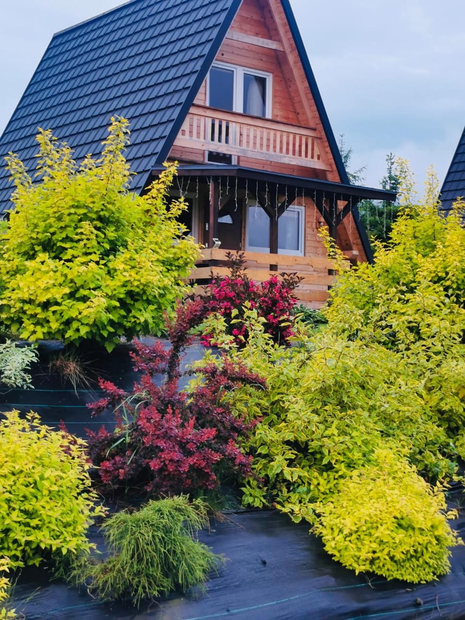 Property building, Garden view