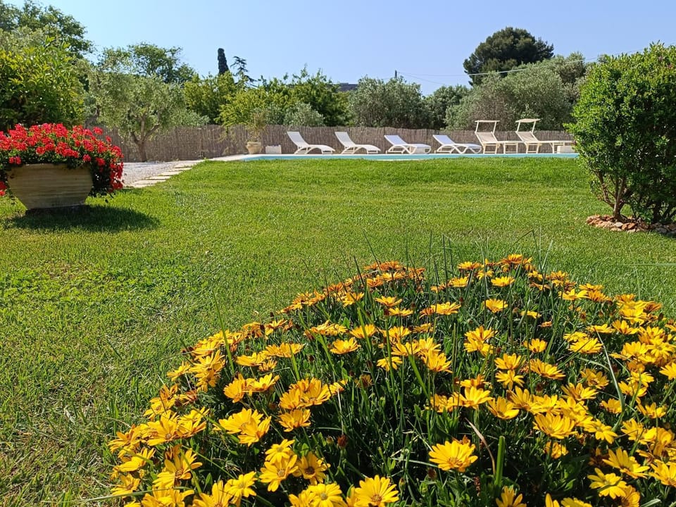 Dimora Matilde Apartment in Province of Taranto