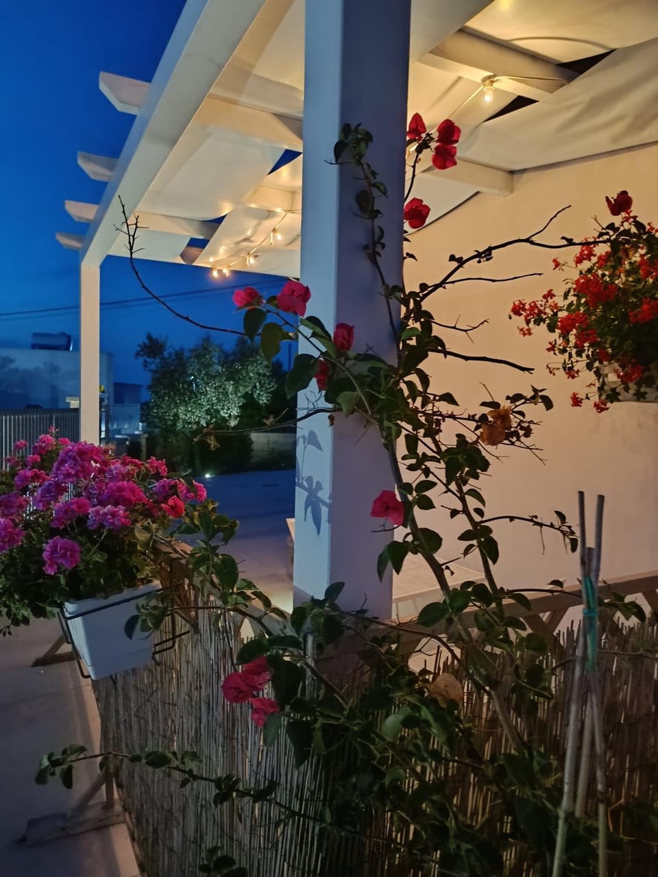 Dimora Matilde Apartment in Province of Taranto