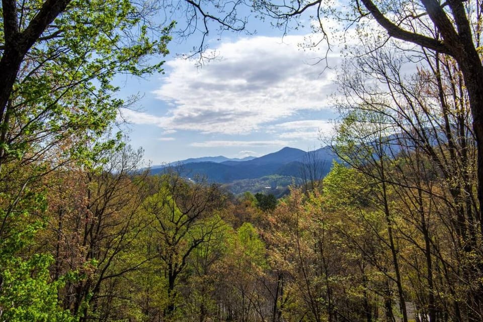 View (from property/room)