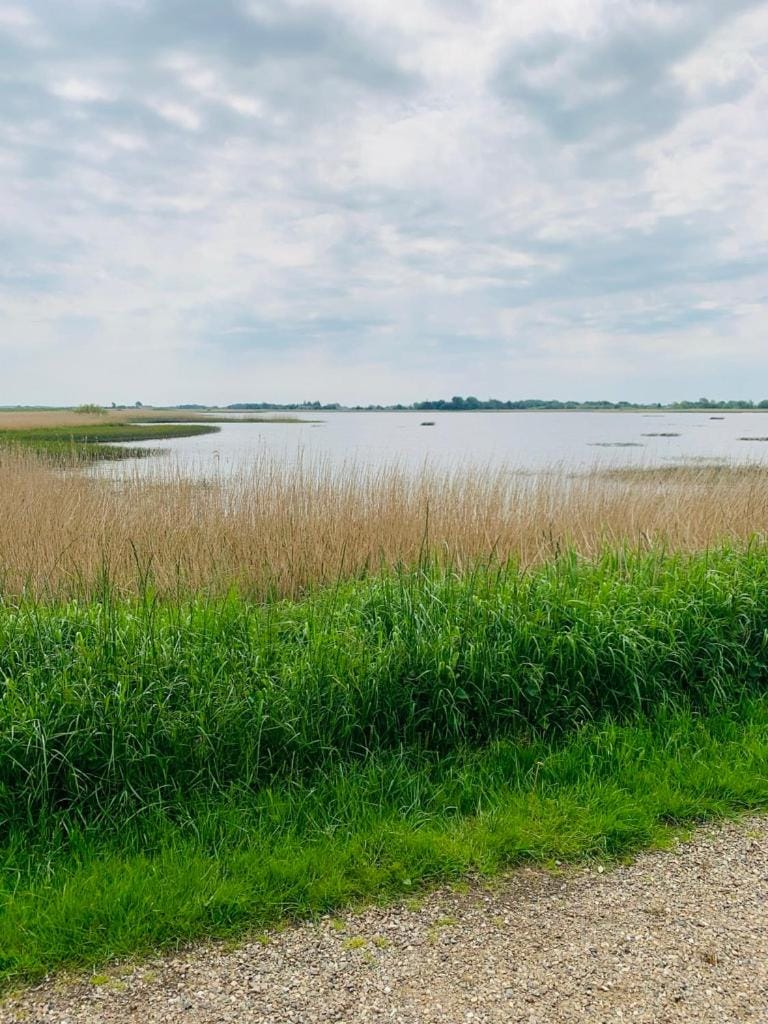 Rudbøl Naturcamping Campground/ 
RV Resort in Nordfriesland