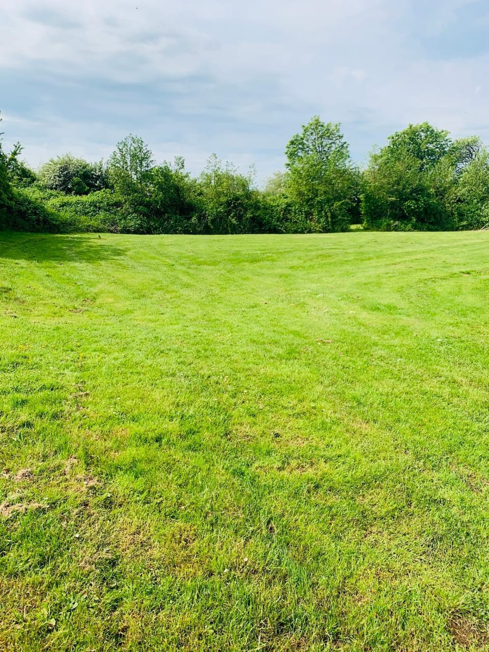 Natural landscape