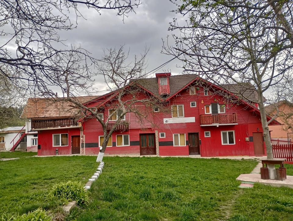 Property building, Spring, Day, Natural landscape, Garden, Garden view