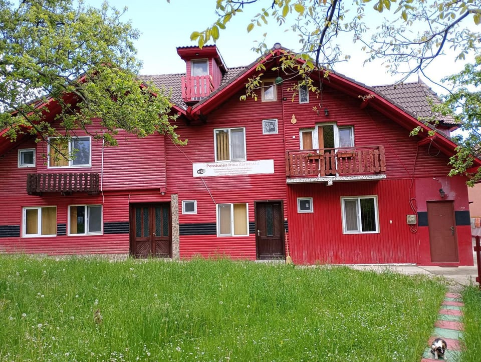 Property building, Spring, Day, Garden, Garden view