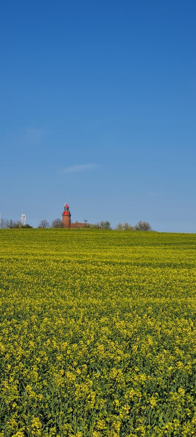 Ferienwohnung im Leuchtturmort Bastorf Apartment in Kühlungsborn