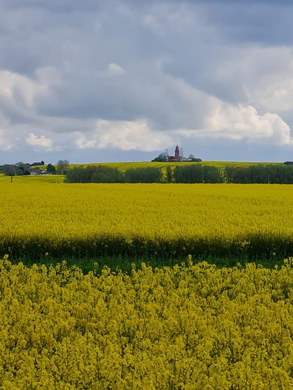 Ferienwohnung im Leuchtturmort Bastorf Apartment in Kühlungsborn