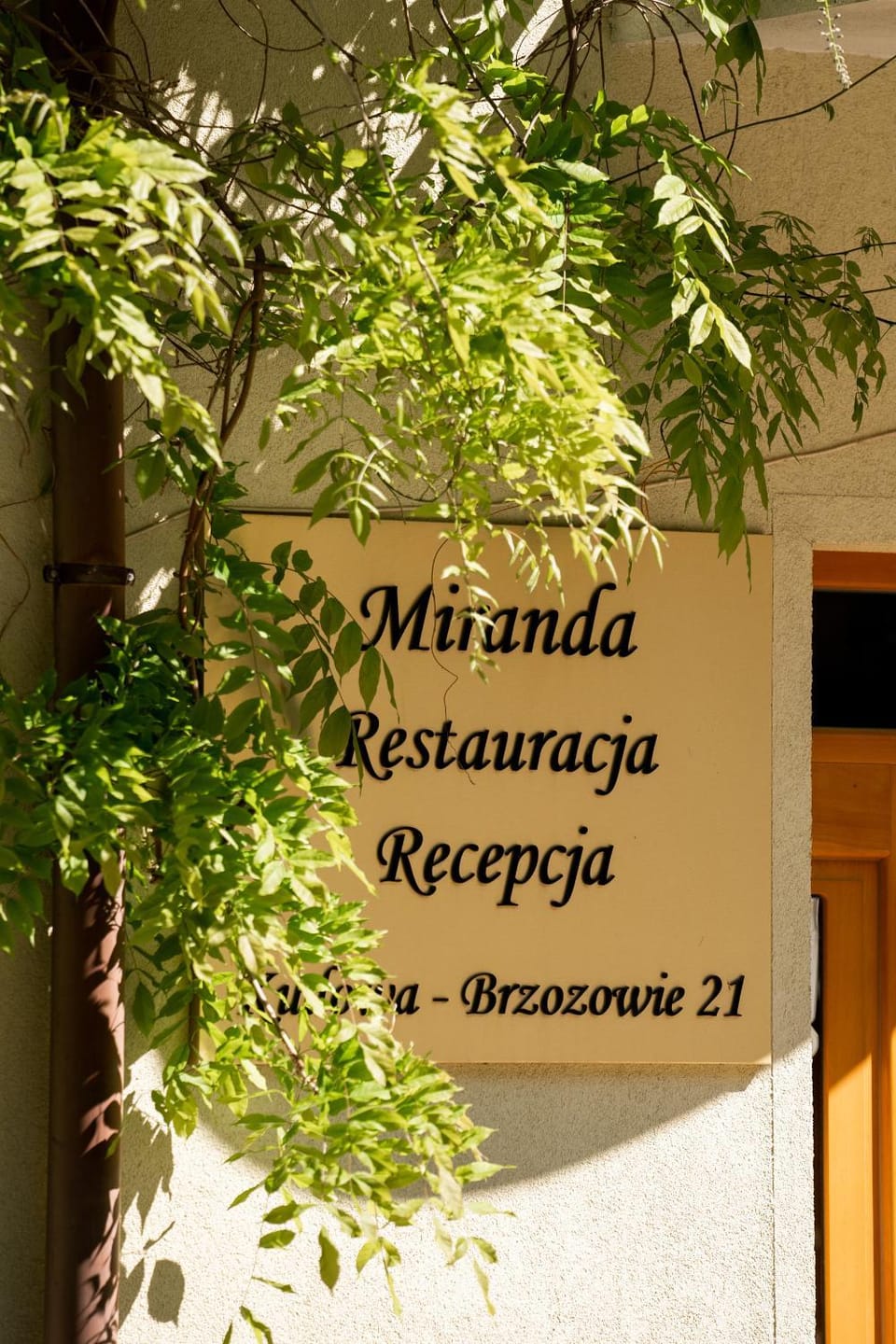 Property logo or sign