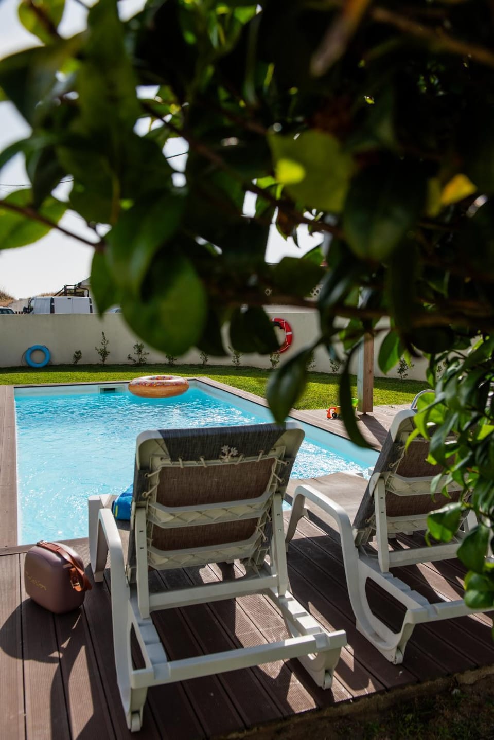 Garden, Pool view, Swimming pool