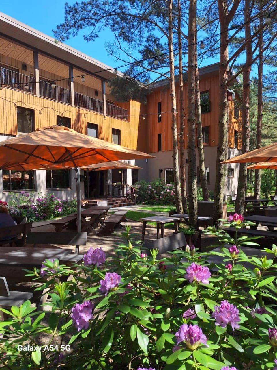 Property building, Day