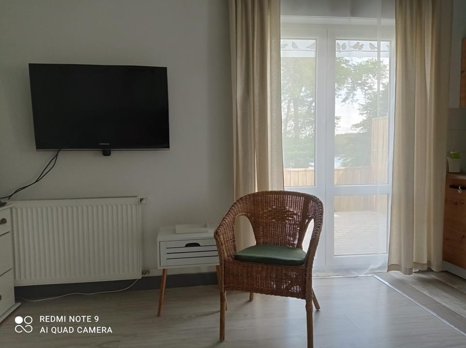 Studio Leśne Apartment in Poland