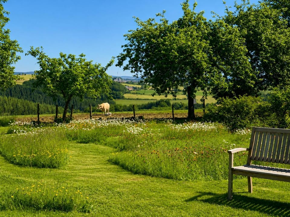 Garden, Garden view
