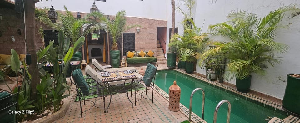 Patio, Garden, Swimming pool, Swimming pool, sunbed