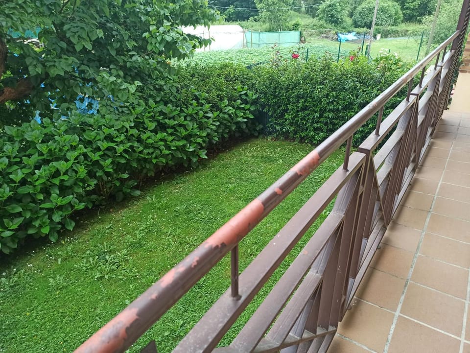 Garden, Garden view
