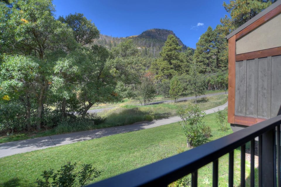 Tamarron PineCone 870 - Ponderosa Pines Getaway - Durango CO House in La Plata County