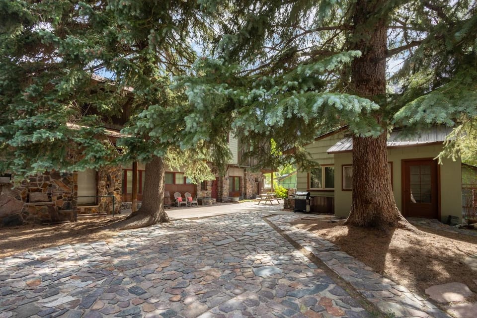 Mission Rock 1 House in Ouray