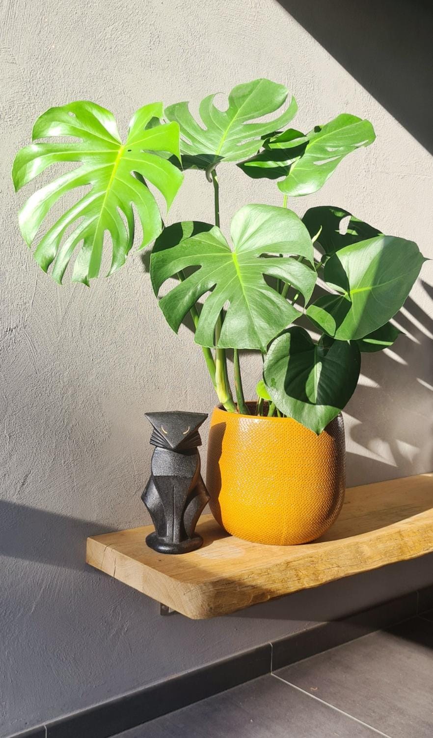 Residence 5 Bed and Breakfast in Ypres