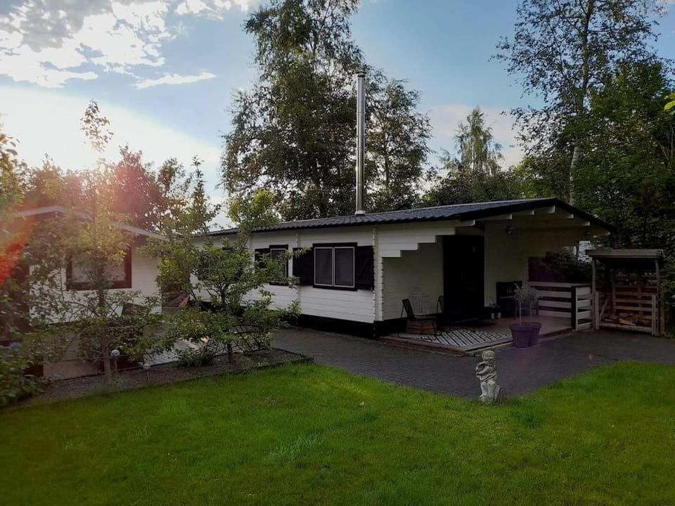 Property building, Day, Garden