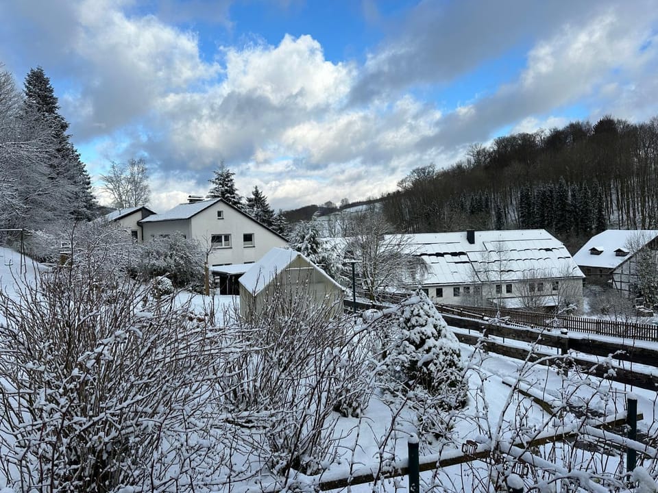 Property building, Natural landscape, Winter