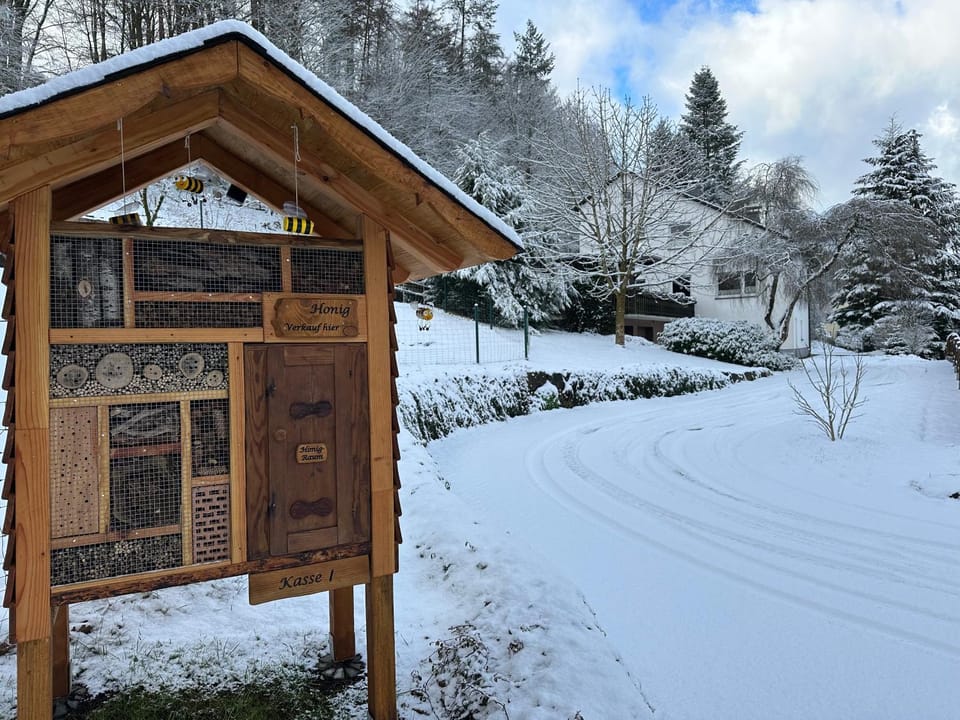 Property building, Natural landscape, Winter