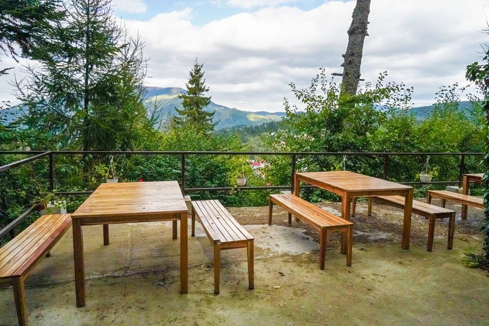 Natural landscape, View (from property/room), Balcony/Terrace, Mountain view