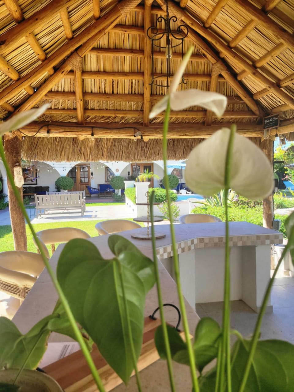 Patio, Garden, Balcony/Terrace, Inner courtyard view