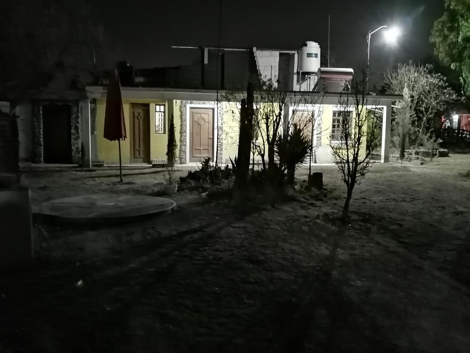 Night, Garden