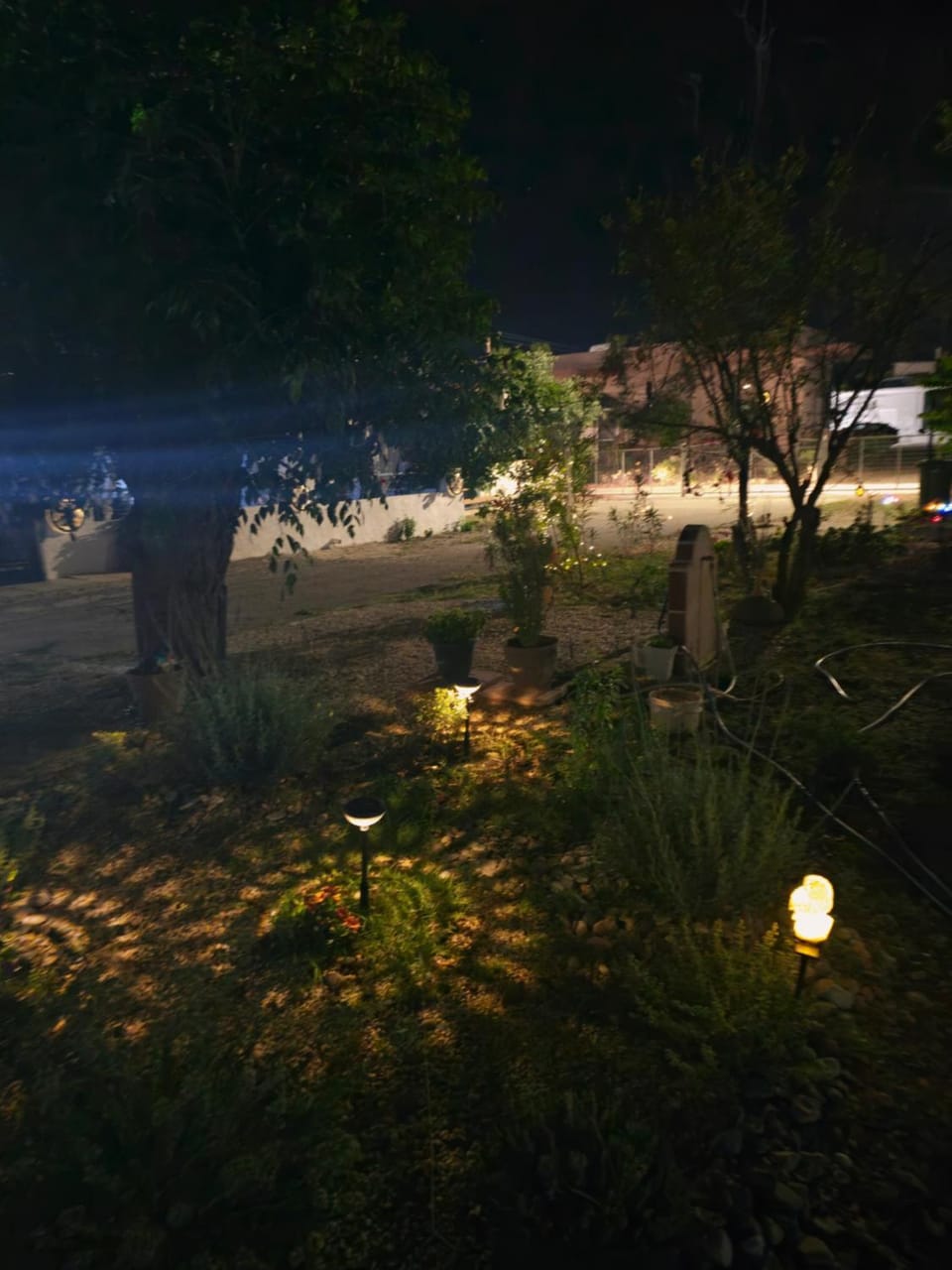 Night, Natural landscape, Garden, Garden view