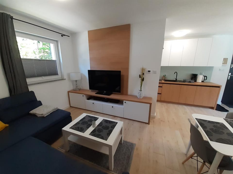 Communal lounge/ TV room, TV and multimedia, Living room, Seating area, Dining area