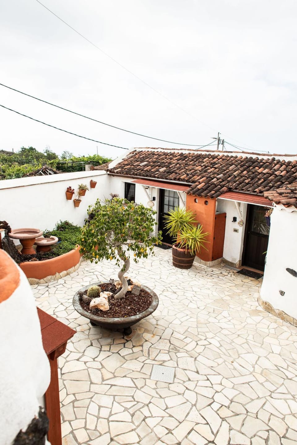 Property building, Day