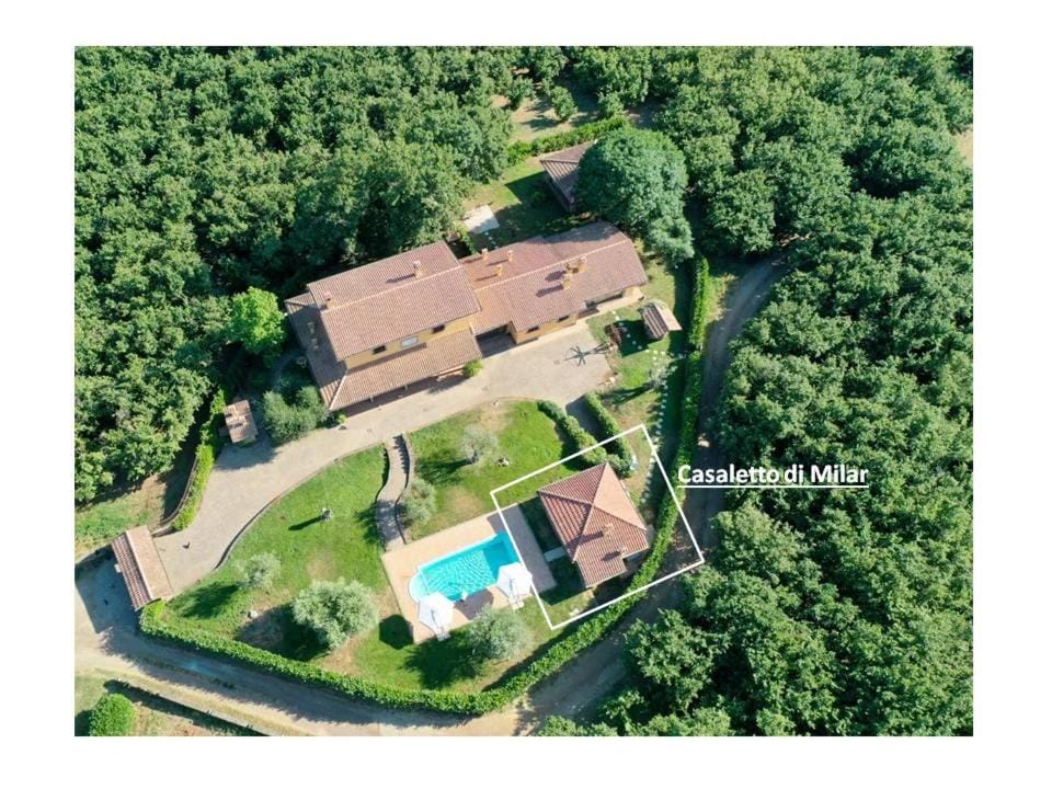 Bird's eye view, Swimming pool