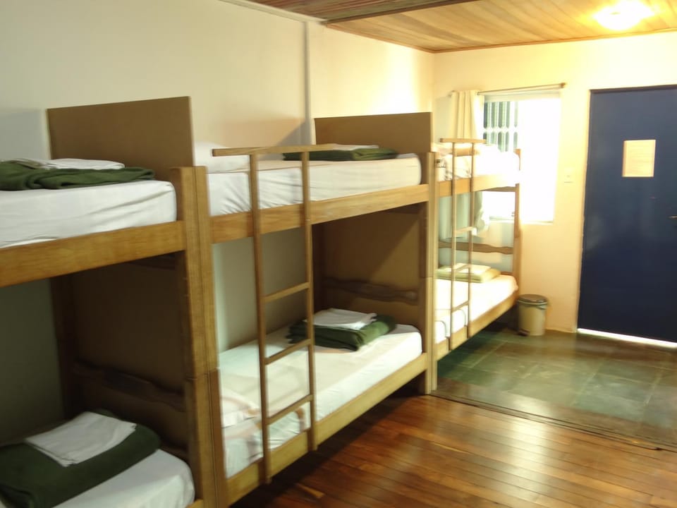 bunk bed