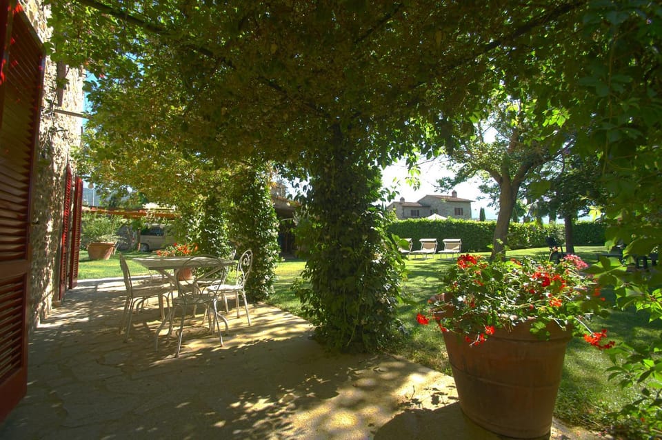 Patio, Garden