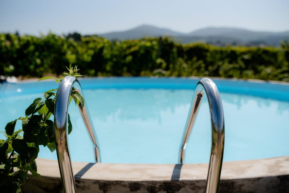 Garden, Swimming pool, Swimming pool