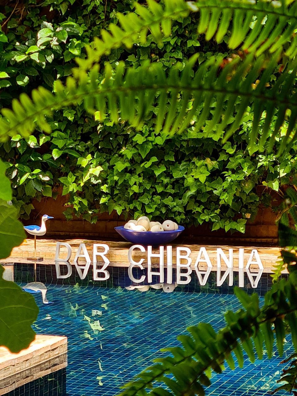 Swimming pool