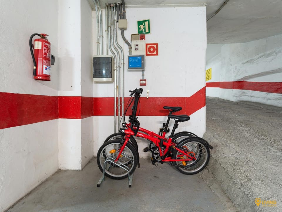 Activities, Cycling, Sports