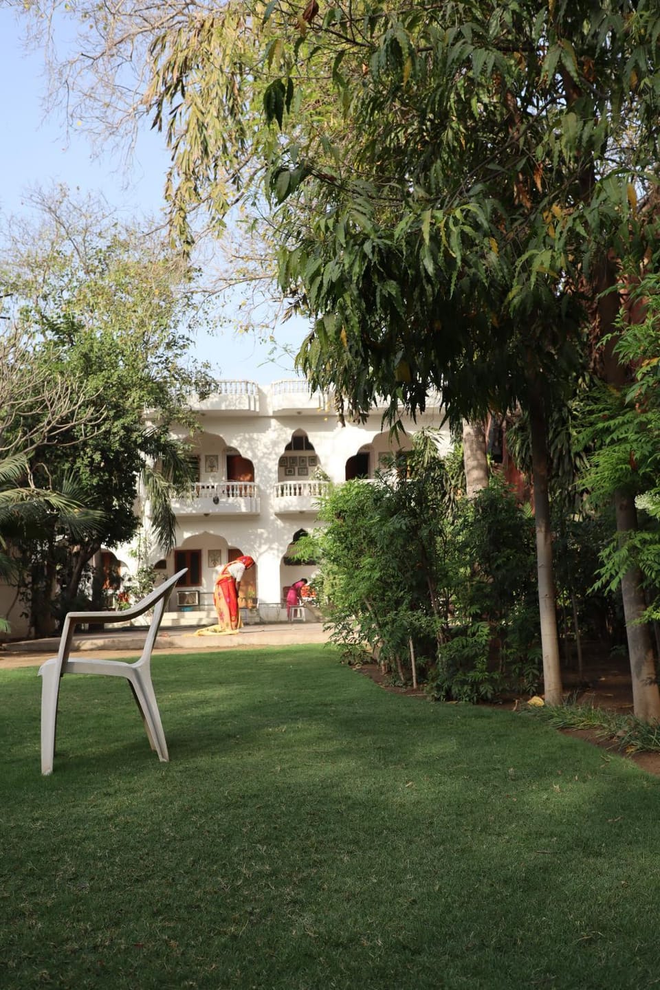 Garden