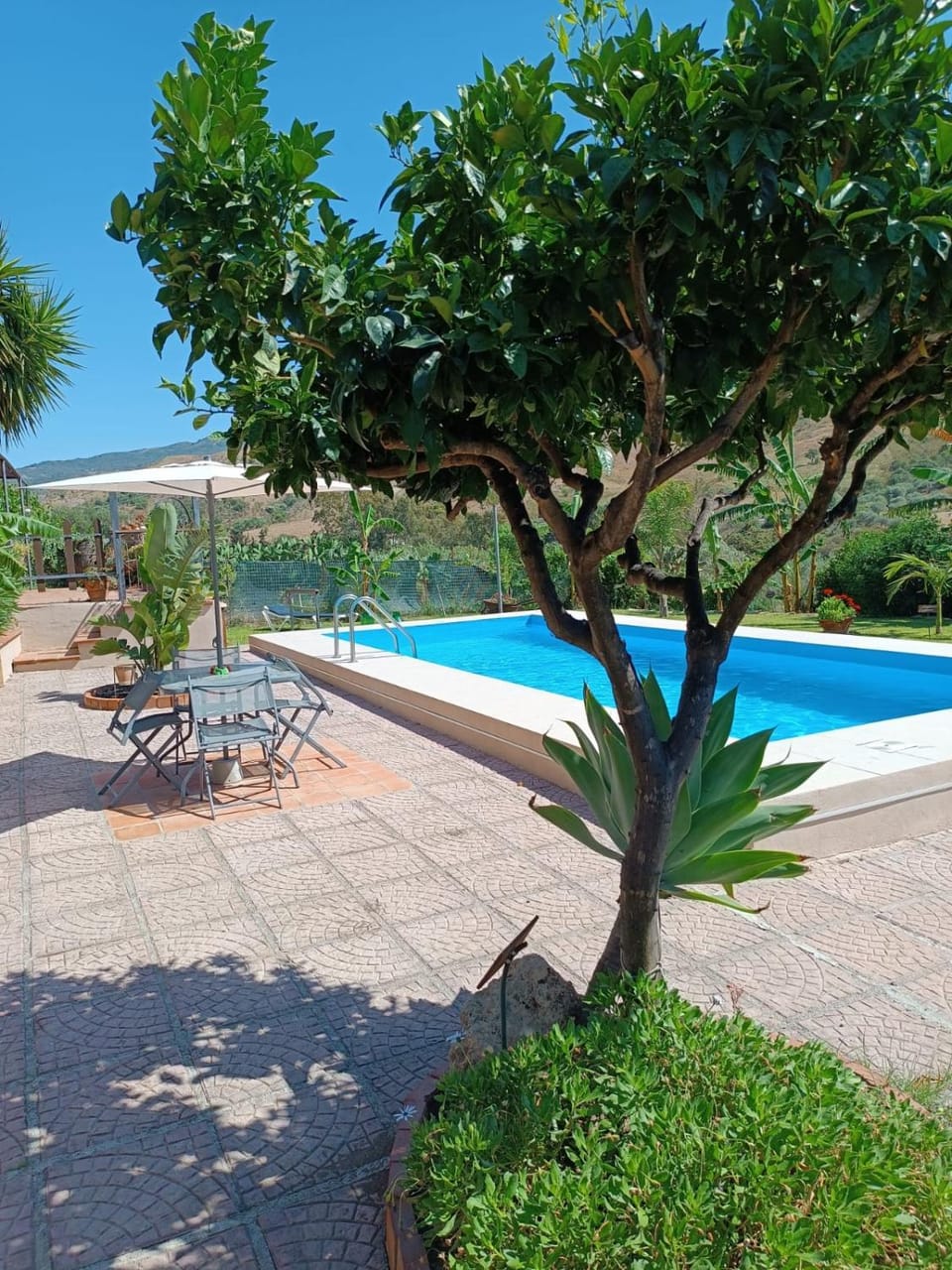 Property building, Natural landscape, Pool view, Swimming pool, Swimming pool