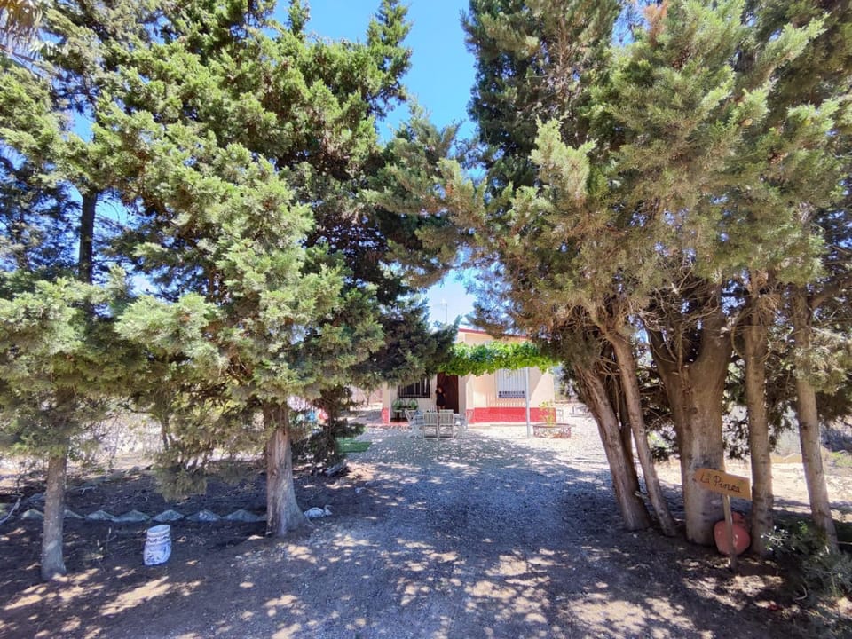 El Arrabal de la Barrosa House in La Janda