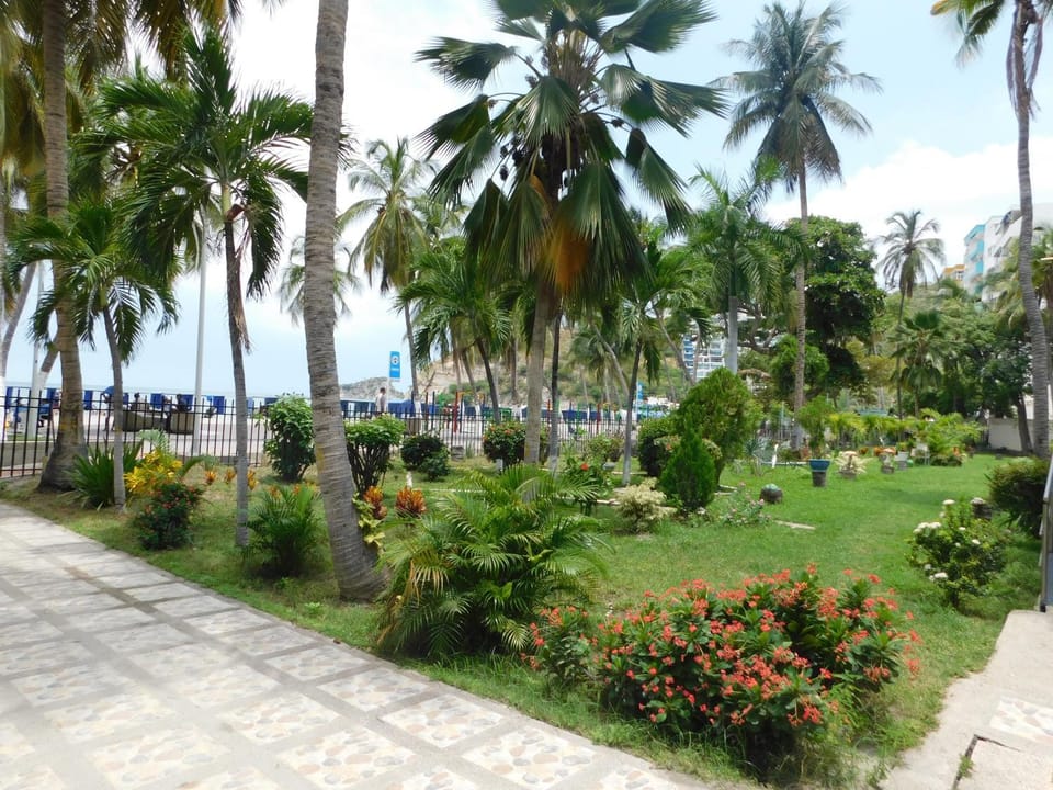 Natural landscape, Garden, Garden view
