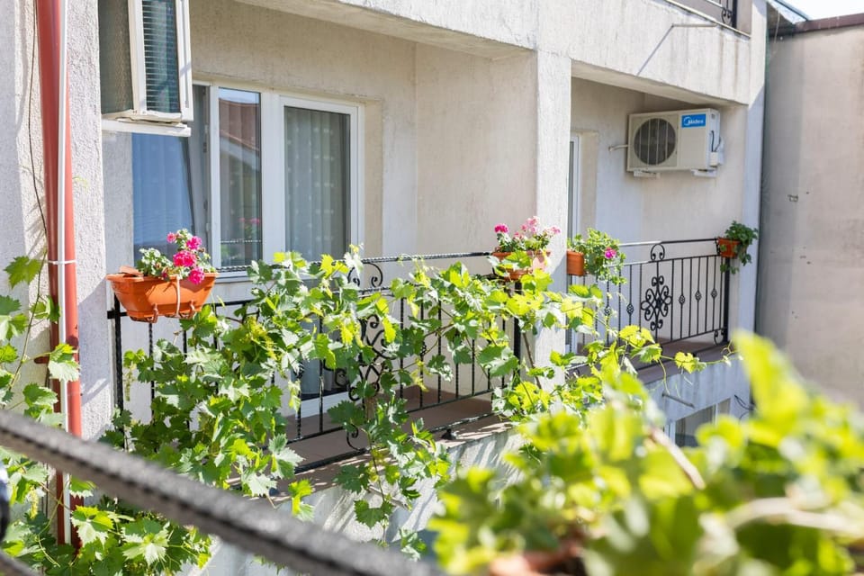 Vila Magda Bed and Breakfast in Eforie Nord