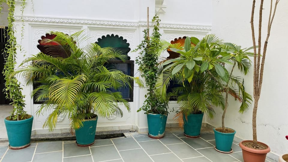 Inner courtyard view