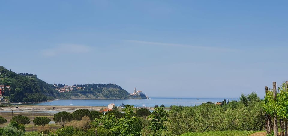 View (from property/room), Beach, Sea view