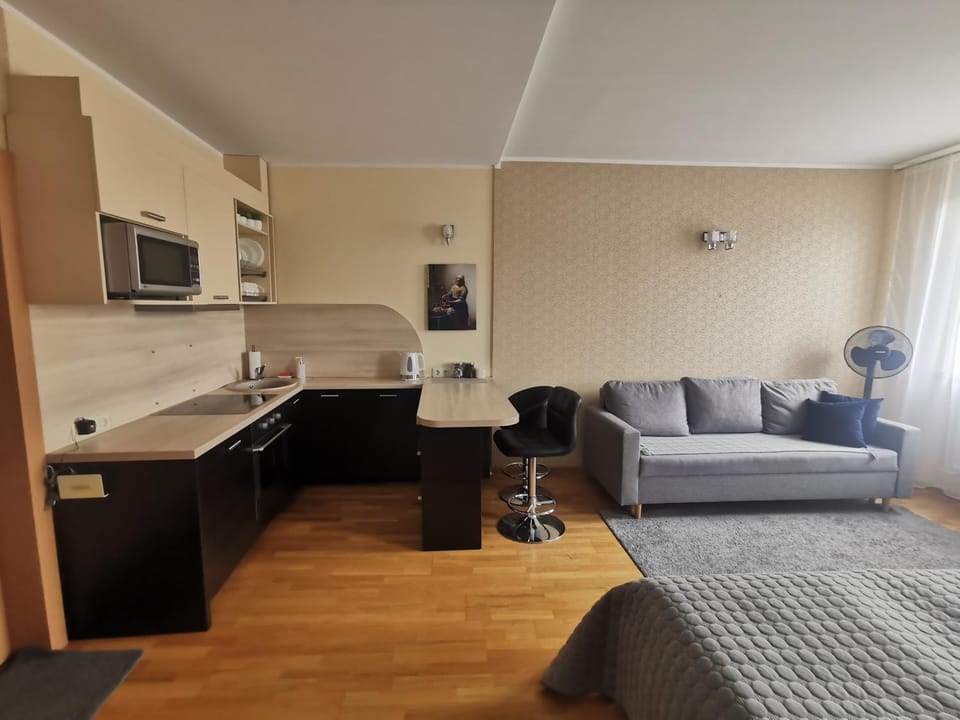 My Old Town Bridge Apartment in Klaipėda