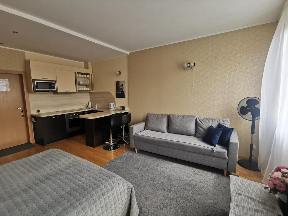 My Old Town Bridge Apartment in Klaipėda