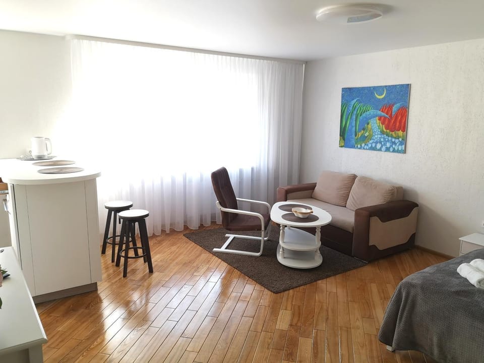 Pas Rūtą Apartment in Klaipėda