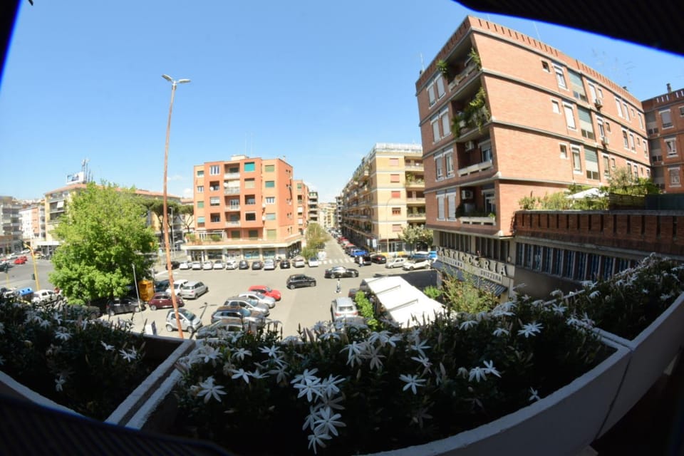 City view, Street view