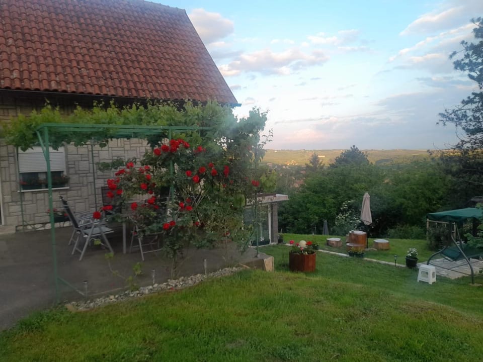 Day, Natural landscape, Garden, Garden view