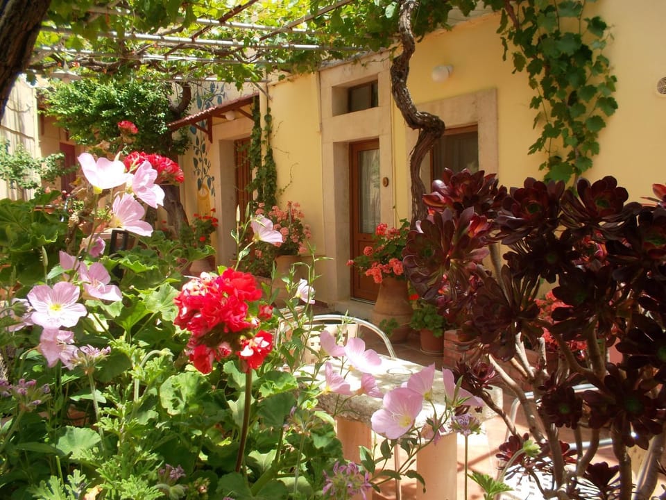 Patio, Facade/entrance, Garden